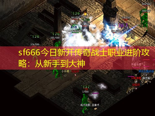 sf666今日新开传奇战士职业进阶攻略：从新手到大神